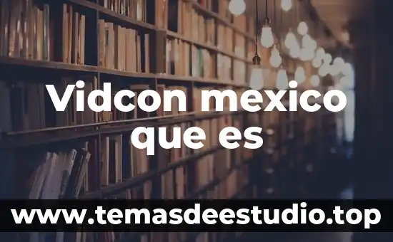 Vidcon mexico que es