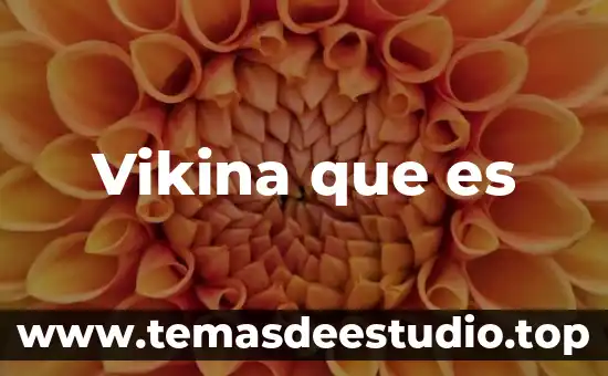 Que es representación gráfica de variable real 7 Vikina que es