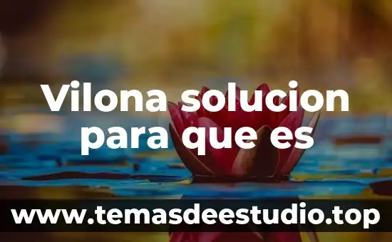 Que es una solucion ejemplos 7 Vilona solucion para que es