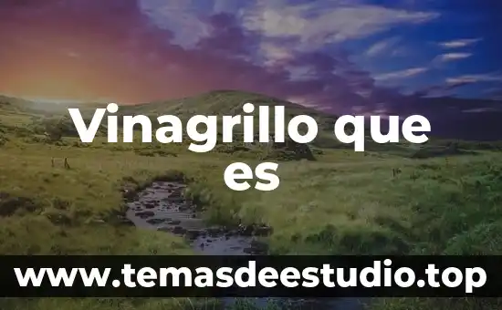 Dios griego que es conocido por sus fiestas y libertinajes 8 Vinagrillo que es