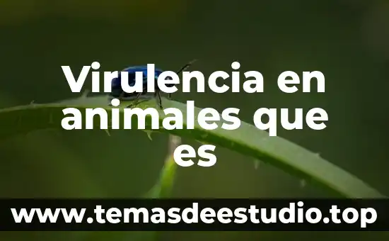 Animal que es amigo de todos los animales 5 Virulencia en animales que es