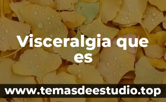 Visceralgia que es