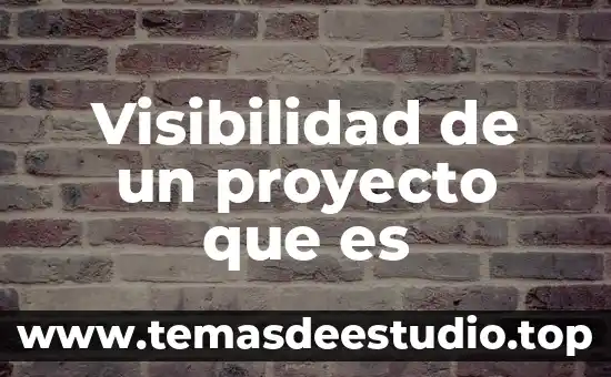 Visibilidad de un proyecto que es