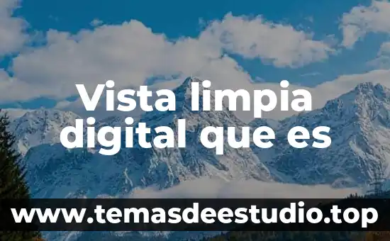 Qué es consultor digital 4 Vista limpia digital que es