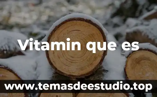 Xocoyoli que es 6 Vitamin que es