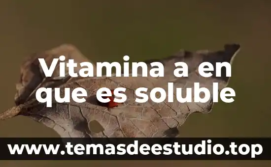 Que es la cultura de masas segun umberto eco 4 Vitamina a en que es soluble