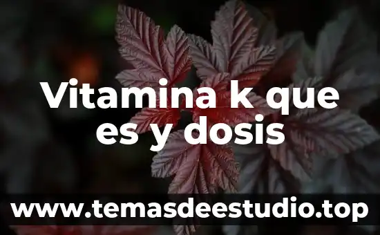 Vitamina k que es y dosis