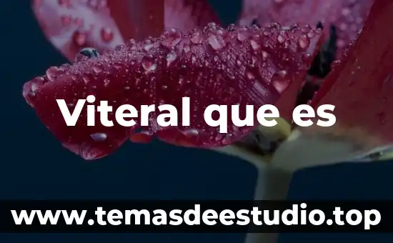 Viteral que es