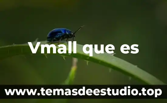 Qué es las funciones del lenguaje lógica 3 Vmall que es