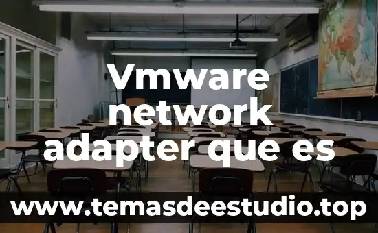 Que es ser racializado 7 Vmware network adapter que es