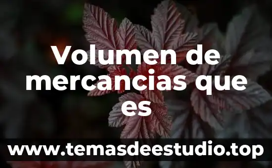 Que es volumen concavo en arquitectura 7 Volumen de mercancias que es