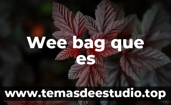 Marcos interpretativos de la cultura que es 3 Wee bag que es