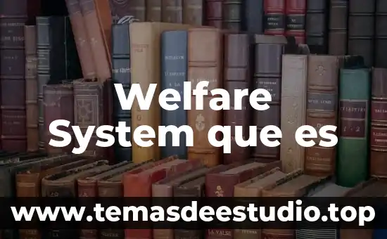 Que es un usuario de cómputo 3 Welfare System que es