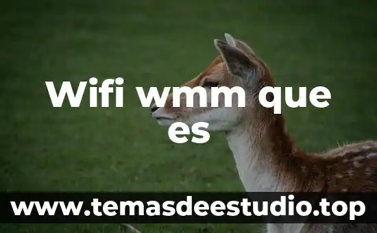 Que es wifi en modo suspension 3 Wifi wmm que es