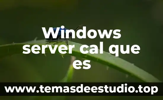 Que es la cal en quimica 4 Windows server cal que es