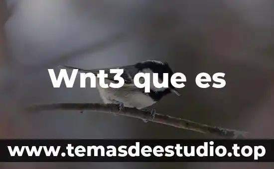 Por que es imporatante conocer acerca de las variantes dialec 5 Wnt3 que es