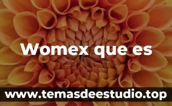 Womex que es