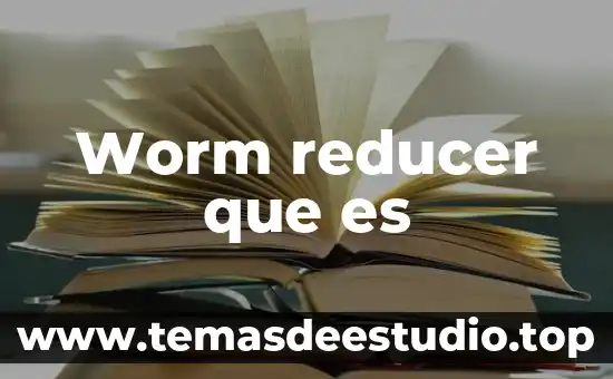 Que es ser sujeto politico 8 Worm reducer que es