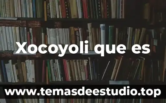 Wango tango que es 6 Xocoyoli que es