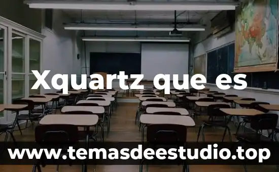 Que es part status 5 Xquartz que es