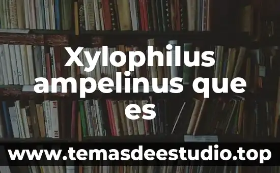 Que es v.c.m en el embarazo que significa 6 Xylophilus ampelinus que es