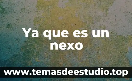 Que es el número de vat en dhgate 4 Ya que es un nexo