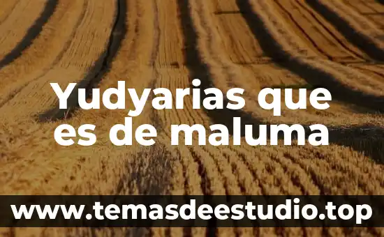 Que es ser racializado 3 Yudyarias que es de maluma