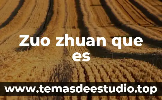 Que es v.c.m en el embarazo que significa 3 Zuo zhuan que es